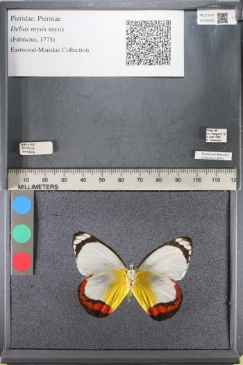 Media type: image;   Entomology 140000